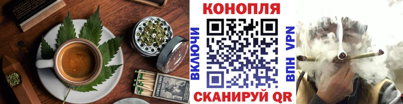 Купить  Сураж  Canna-Cookies марихуана 