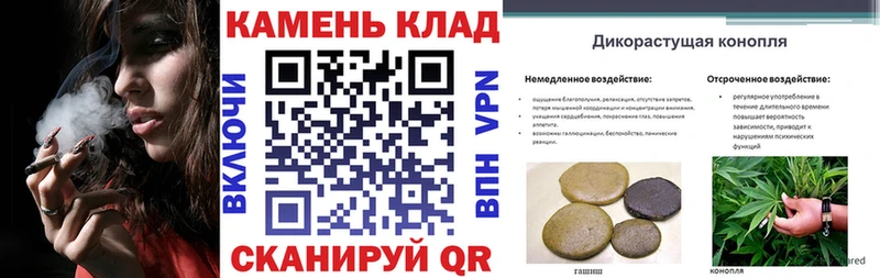 Купить где  Сураж  ГАШ Cannabis 