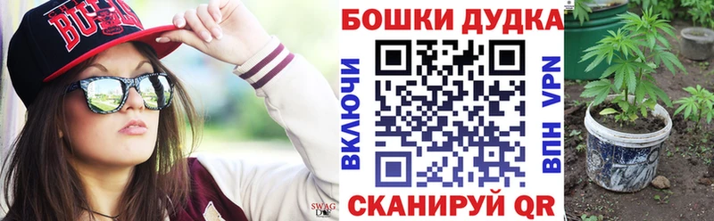 Бошки марихуана Amnesia  Купить где  Сураж 